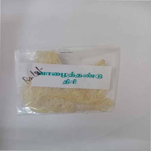 VAZHAITHANDU THIRI- 1pcs